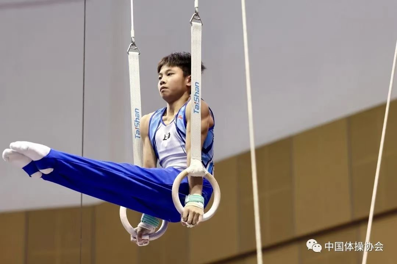 img, WL, 了单杠金牌 img, WL, 了单杠金牌