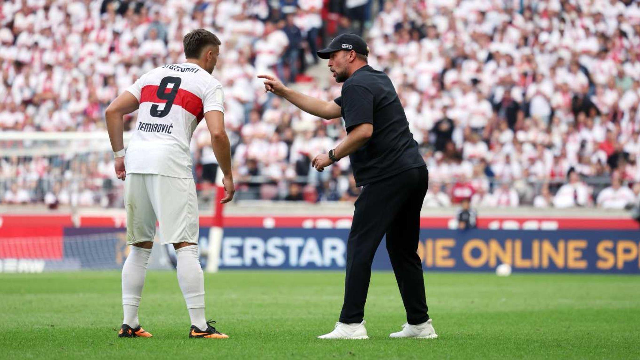 岁的斯图加, Noah 岁的斯图加, Noah