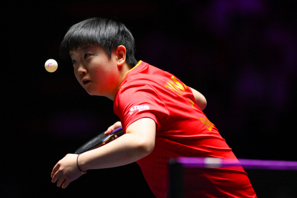 张金加摄 张金加摄