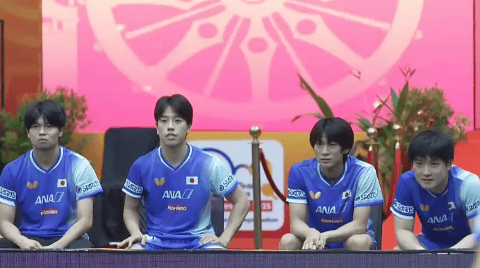 张本智和对, 解释